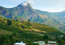 Simpósio de Cafeicultura do Caparaó acontece em outubro