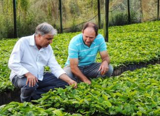 Marcos Garcia promove sessão solene em homenagem ao Dia da Agricultura