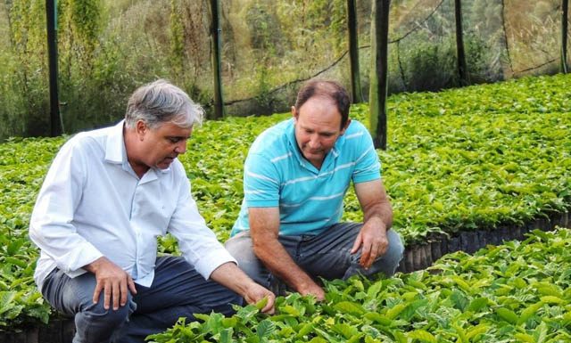 Marcos Garcia promove sessão solene em homenagem ao Dia da Agricultura
