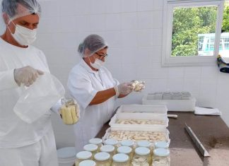 Cooperativas de crédito. Uma história que vale a pena ser contada