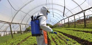 Ministra reforça segurança dos alimentos do país