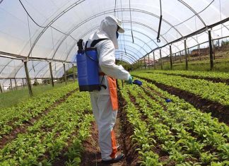 Ministra reforça segurança dos alimentos do país