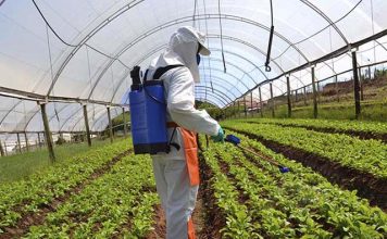 Ministra reforça segurança dos alimentos do país