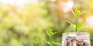 Aprovado crédito suplementar que garante recursos para o Plano Safra 2020/2021