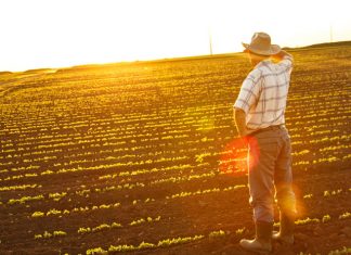 Projeto isenta de ITR imóveis com menos de 4 módulos fiscais