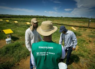 Faculdade CNA inscreve para cursos de graduação a distância até sexta