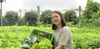 Revista Procampo é finalista de prêmio de jornalismo cooperativista