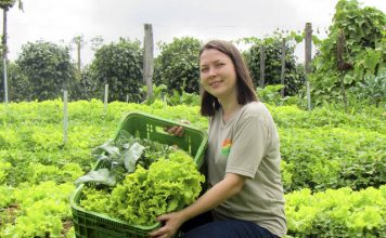 Revista Procampo é finalista de prêmio de jornalismo cooperativista