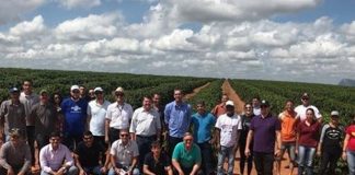 Conilon capixaba de qualidade é exemplo para cafeicultores de Rondônia