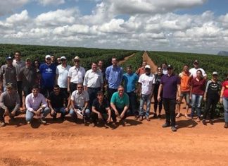 Conilon capixaba de qualidade é exemplo para cafeicultores de Rondônia