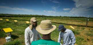 Produtores rurais capixabas vão concorrer a um carro 0 km