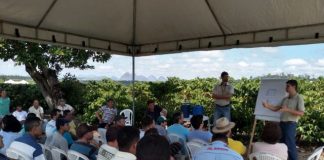Cooabriel profissionaliza mais de mil produtores de café em 2019