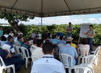 Cooabriel profissionaliza mais de mil produtores de café em 2019