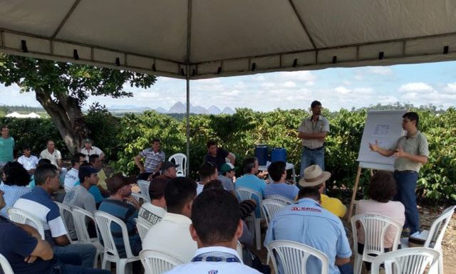 Cooabriel profissionaliza mais de mil produtores de café em 2019