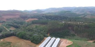 Vagas do Condomínio Avícola serão ampliadas com novo galpão em 2020