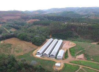 Vagas do Condomínio Avícola serão ampliadas com novo galpão em 2020