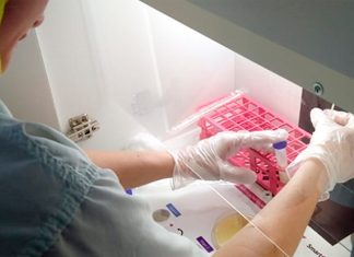 Coopeavi disponibiliza ferramenta para diagnosticar causa da mastite em até 24 horas