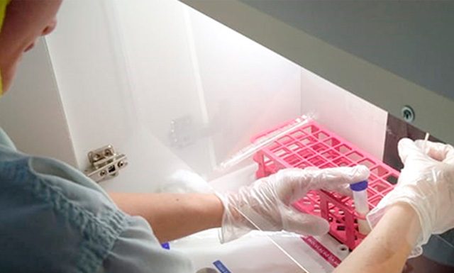 Coopeavi disponibiliza ferramenta para diagnosticar causa da mastite em até 24 horas