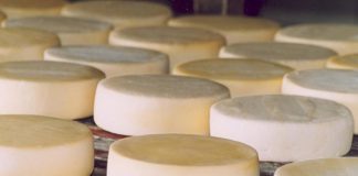 Fiscalização de produtos de origem animal por consórcios municipais irá beneficiar economias