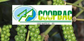 São Mateus é reconhecida como capital estadual das especiarias