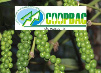 Coopbac completa 15 anos de conquistas e realizações