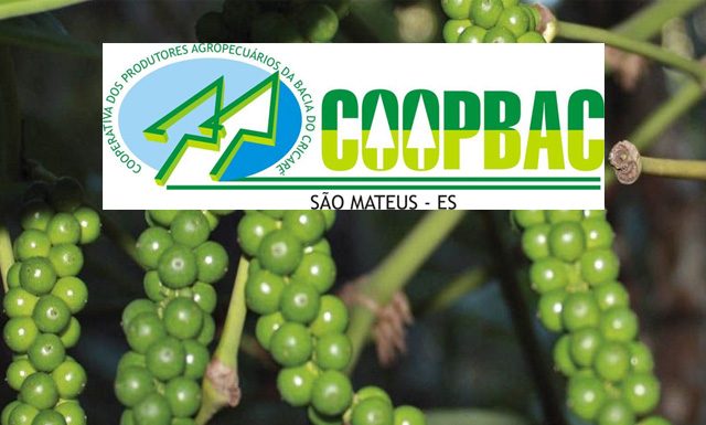 São Mateus é reconhecida como capital estadual das especiarias