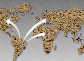 CCCV: Primeira ZPE privada do Brasil pode alavancar as exportações de café