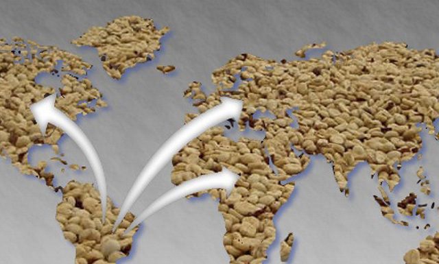 Secretaria de Comércio Exterior aponta aumento na receita de exportação do café em outubro