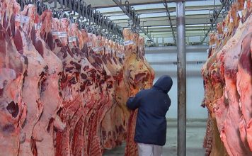 Valorização da carne bovina no mês de outubro