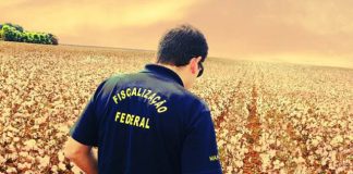 Decreto define vigilância agropecuária como atividade essencial ao país