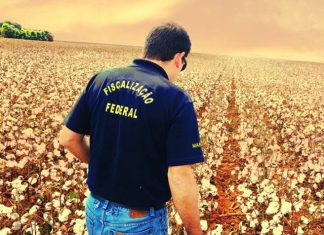 Decreto define vigilância agropecuária como atividade essencial ao país