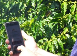 Cooabriel incentiva uso de canais alternativos nas operações de café com sócios