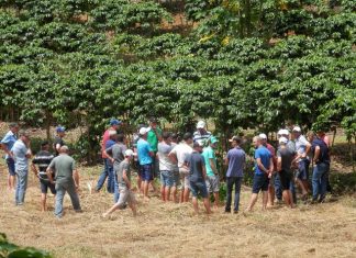 Cetcaf realiza curso prático em comunidade de Itarana