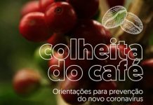 Lançada cartilha para prevenção do novo Coronavírus na colheita do café 2020