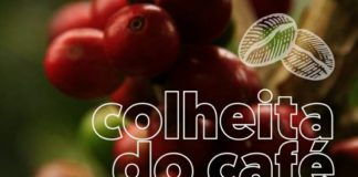 Lançada cartilha para prevenção do novo Coronavírus na colheita do café 2020