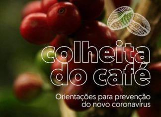 Lançada cartilha para prevenção do novo Coronavírus na colheita do café 2020