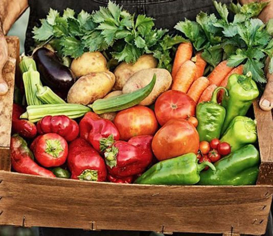 Lojas de insumos agrícolas e pecuários seguem em operação