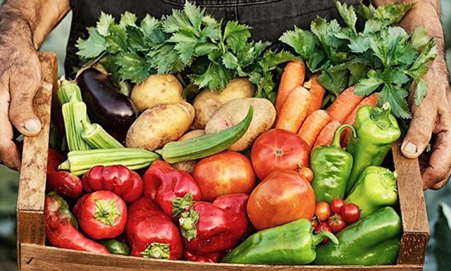 Sazonalidade na oferta e maior demanda explicam alta dos alimentos