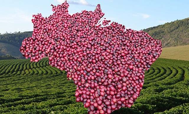 Brasil exporta 3,3 milhões de sacas de café em abril