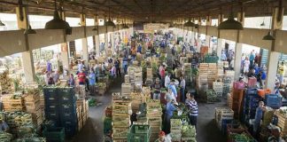 Ceasa-ES disponibiliza novo Regulamento de Mercado