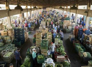 Ceasa-ES disponibiliza novo Regulamento de Mercado