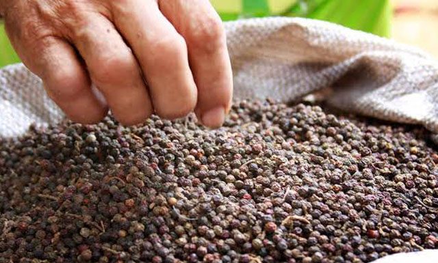 Coopbac realiza assembleia ordinária em São Mateus