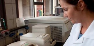 Laboratórios do Mapa serão usados para analisar testes do Coronavírus