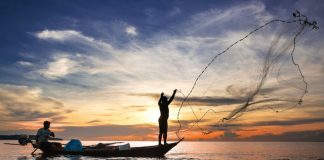 Registro de pescador amador já pode ser solicitado pela internet