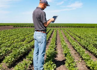 Novo programa apoia a qualificação de estudantes dos cursos de ciências agrárias