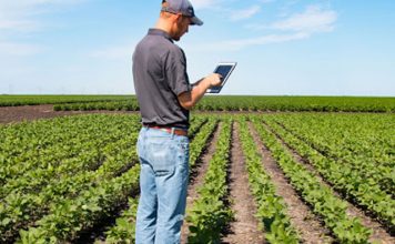 Mapa lança nesta quinta-feira (3) plataforma com dados do solo brasileiro