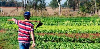 Ministro busca modernização de registros para facilitar acesso ao crédito