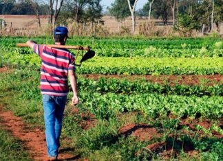 Ministro busca modernização de registros para facilitar acesso ao crédito