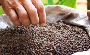 São Mateus é oficialmente a “Capital Estadual das Especiarias”