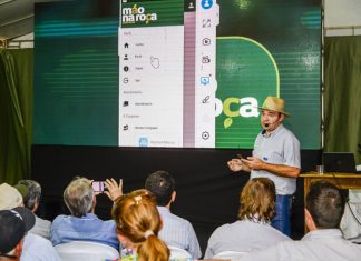 Aplicativo de consultoria online registra aumento de adesões durante pandemia